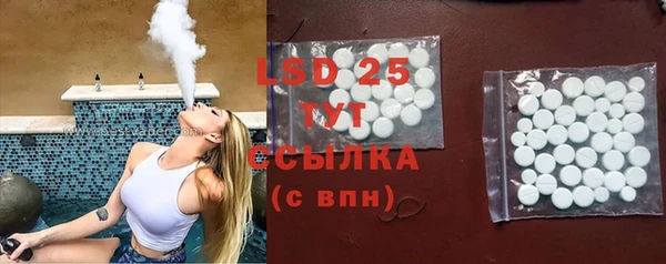 гидра Каменка