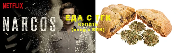 гидра Каменка