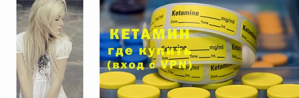гидра Каменка