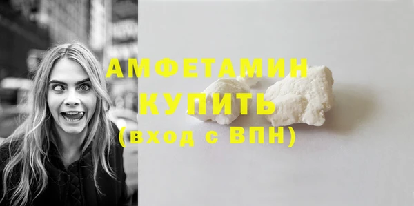 гидра Каменка