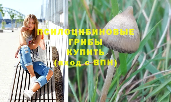 гидра Каменка