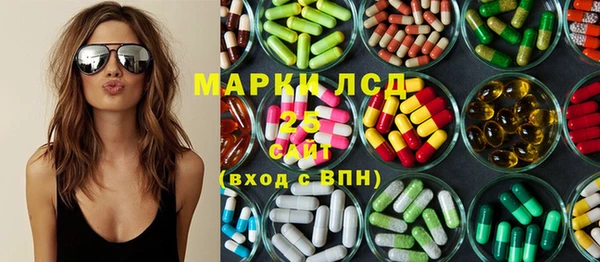 гидра Каменка