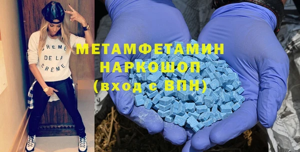 гидра Каменка