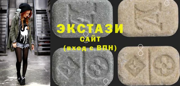 гидра Каменка