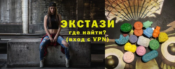 гидра Каменка