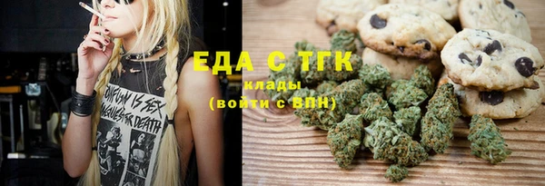 гидра Каменка