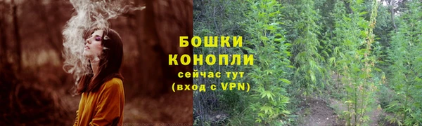 гидра Каменка